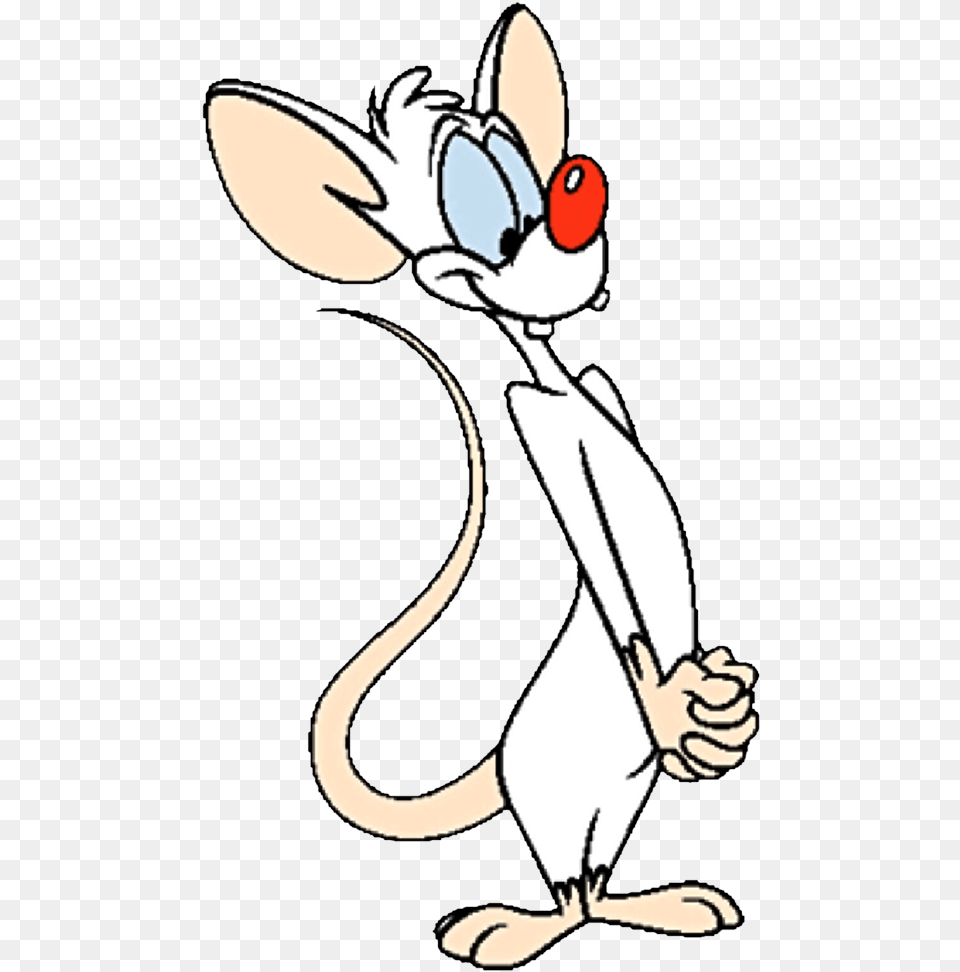 Looney Tunes Wiki Pinky And The Brain, Cartoon, Person Free Png Download