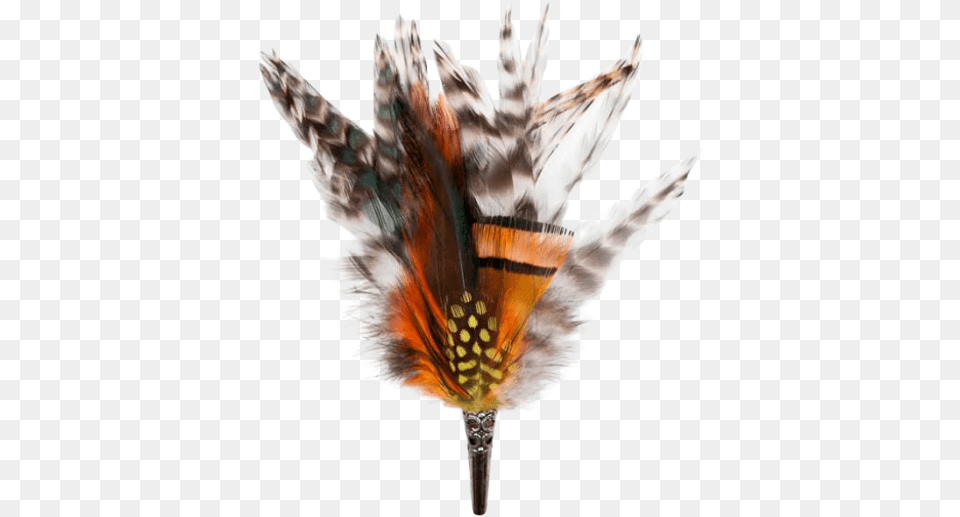 Loose Brooch Feathers Oranges U0026 Beige My Bob Milkweed Butterflies, Animal, Beak, Bird, Invertebrate Png