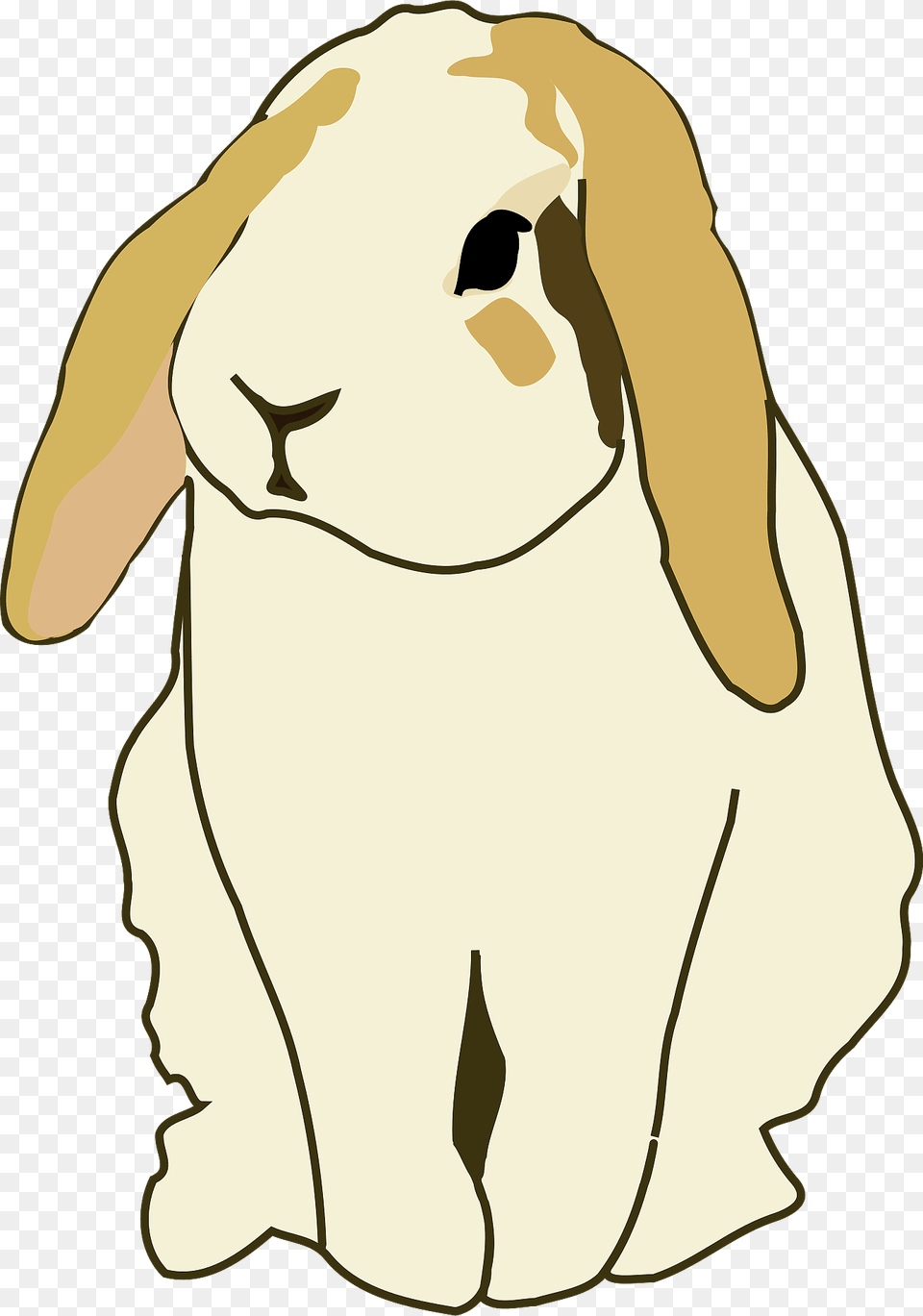 Lop Eared Rabbit Clipart, Animal, Mammal, Face, Head Free Png