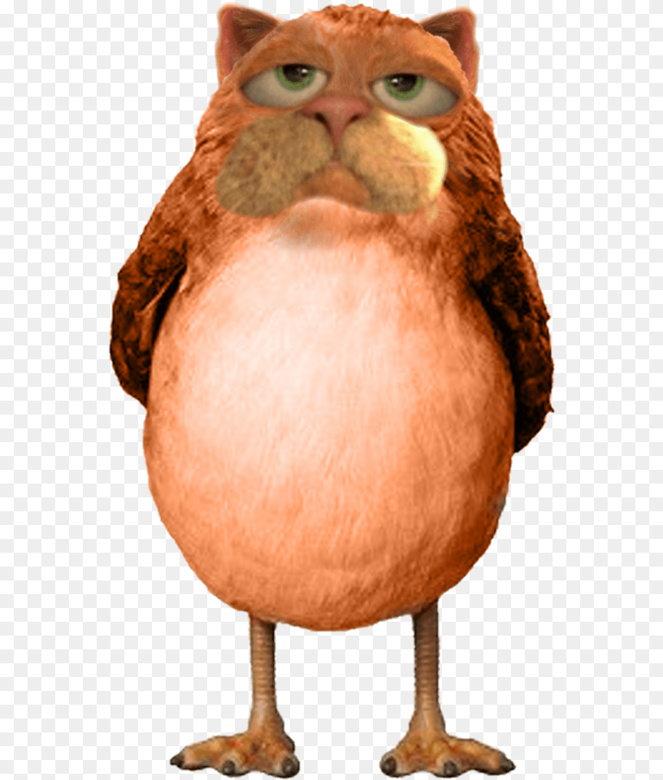 Lorax Star Wars New Creature Vippng Porg Transparent, Animal, Beak, Bird, Person Free Png