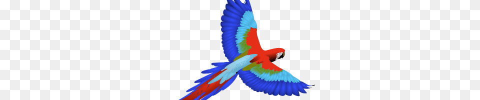 Lord Farquaad 3 Image, Animal, Bird, Macaw, Parrot Free Png Download