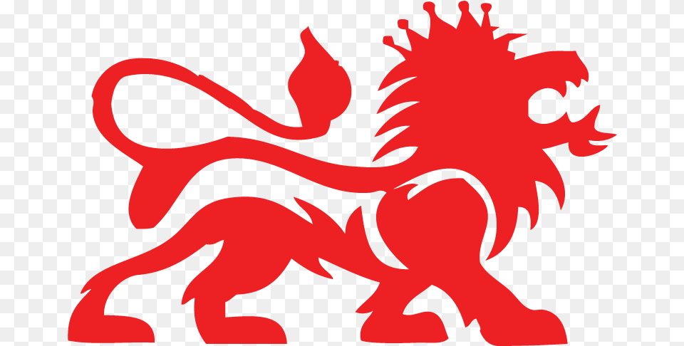 Lord Laro, Baby, Person, Dragon, Animal Png