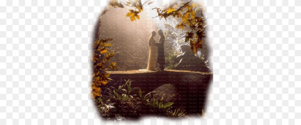 Lord Of The Rings Arwen Aragorn Aragorn, Woodland, Plant, Sunlight, Tree Free Transparent Png