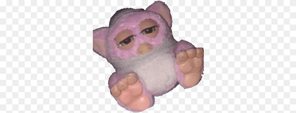 Lord Savage Kitten, Toy, Baby, Person Free Png