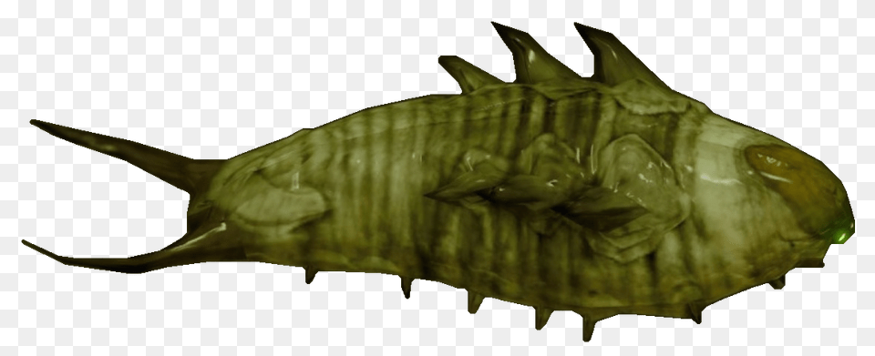 Lore Evidence That The Hive Worms And Ahamkara Might Be The Same, Aquatic, Water, Animal, Fish Png Image