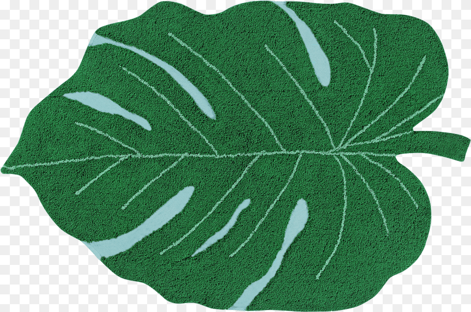 Lorena Canals Monstera, Leaf, Plant, Person Png