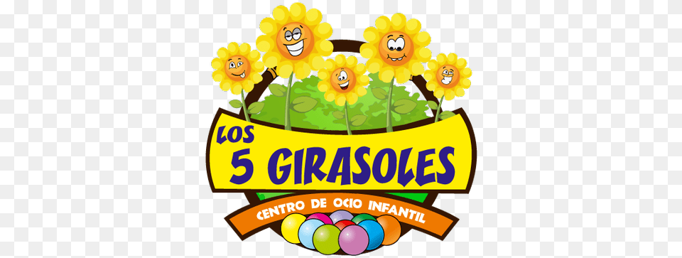 Los 5 Girasoles, Flower, Plant, Sunflower, Potted Plant Png Image
