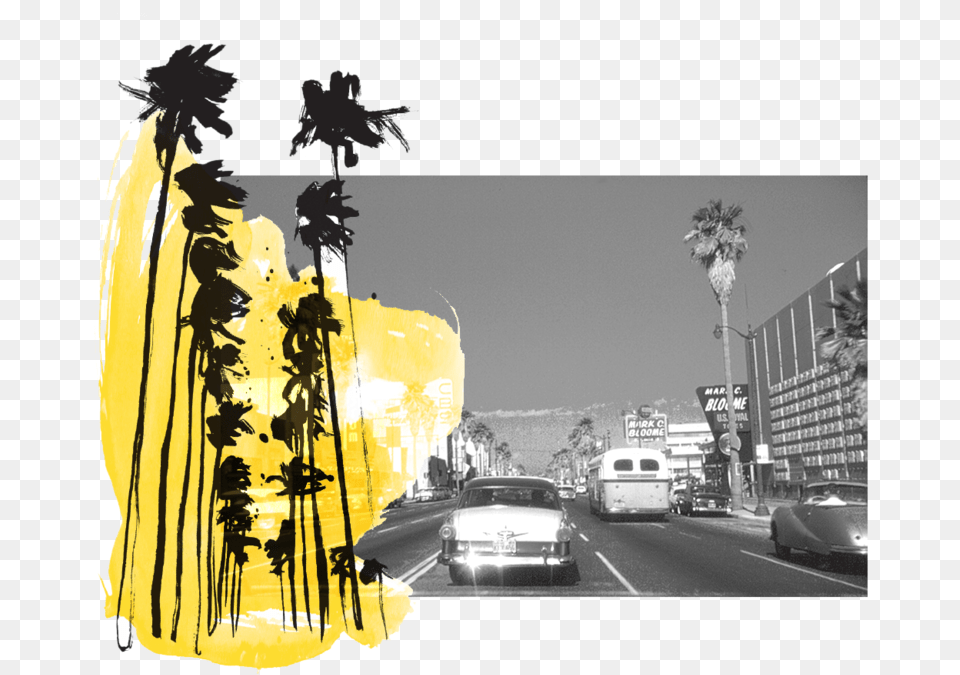 Los Angeles Jesse Katz Header, Plant, Road, Street, Urban Free Png