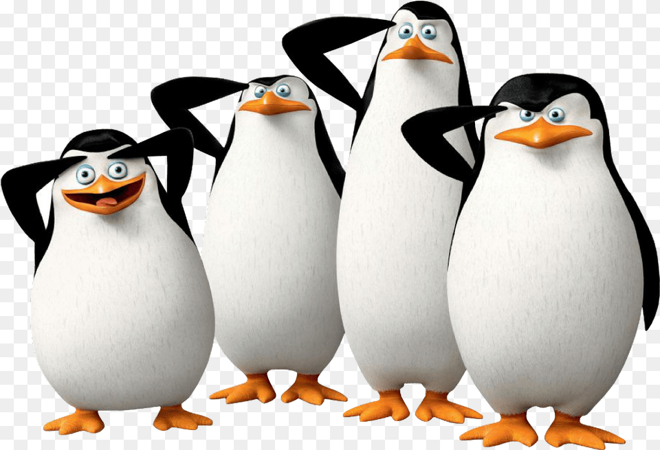 Los Pinginos De Madagascar Penguins Of Madagascar Hd, Animal, Bird, Penguin Png