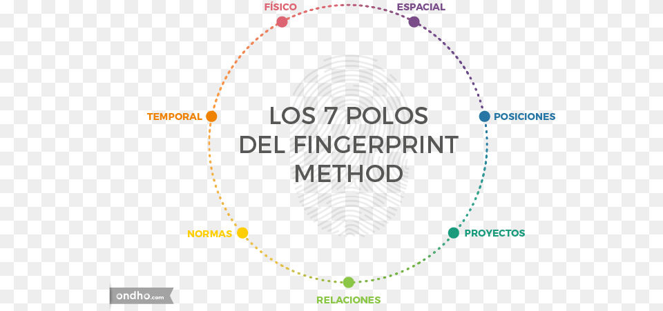 Los Siete Polos Del Fingerprint Method Cox Enterprises, Nature, Outdoors, Night, Necklace Free Transparent Png