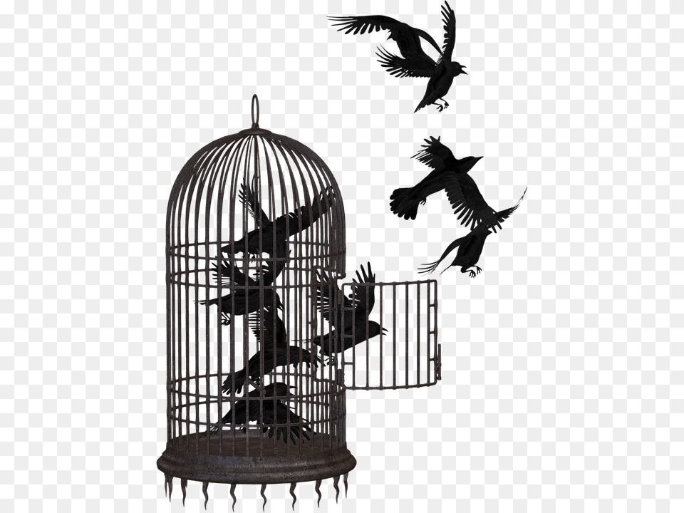 Los Solidarios De La Voz Del Amate Demand The Return Libertad Con Responsabilidad, Animal, Bird Free Png Download