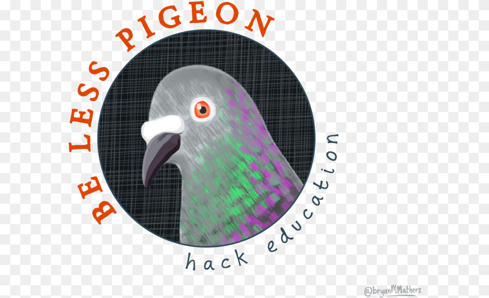 Losing Our We Talked At Length About Pigeons And Doves, Animal, Bird, Pigeon, Dove Png Image