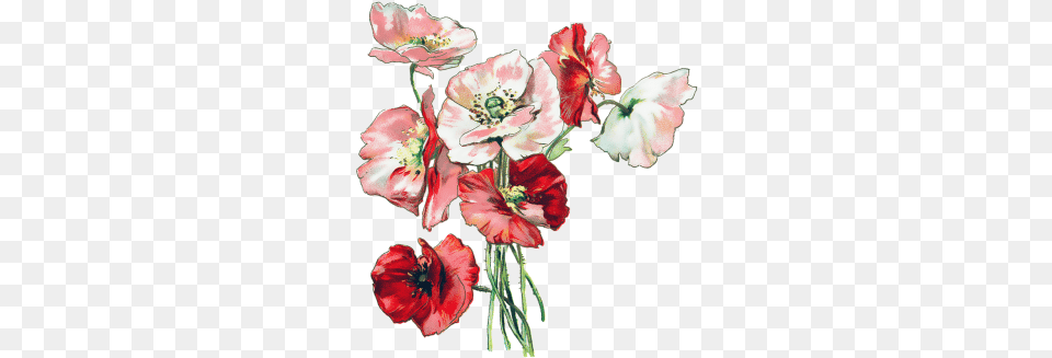Loss Of Friend Heartfelt Sympathy Pink Vintage Flowers, Flower, Plant, Anther, Petal Free Transparent Png