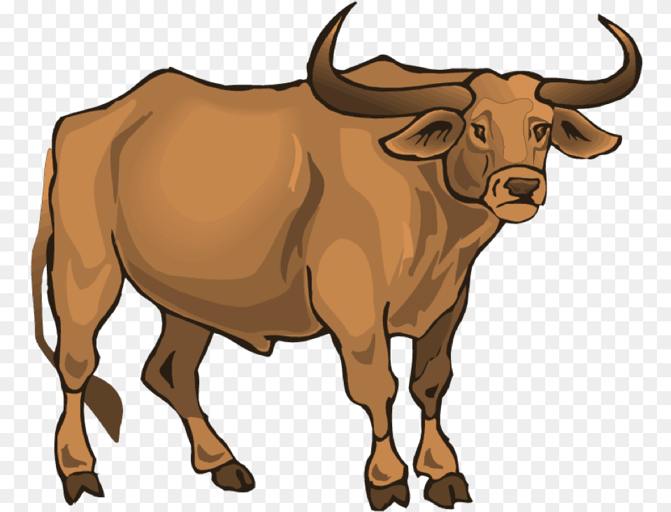 Lost Creek Longhorn Longhorn Steakhouse, Animal, Bull, Cattle, Livestock Png Image