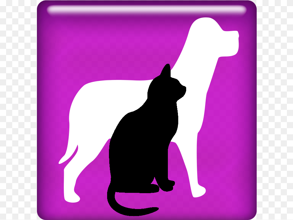 Lost Found, Silhouette, Animal, Cat, Mammal Png