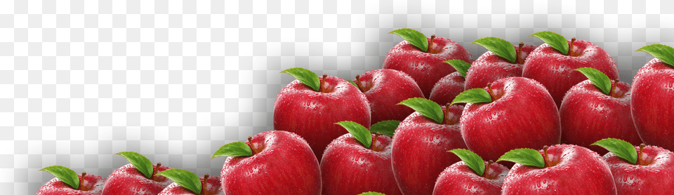 Lot Of Apples, Food, Fruit, Plant, Produce Free Png