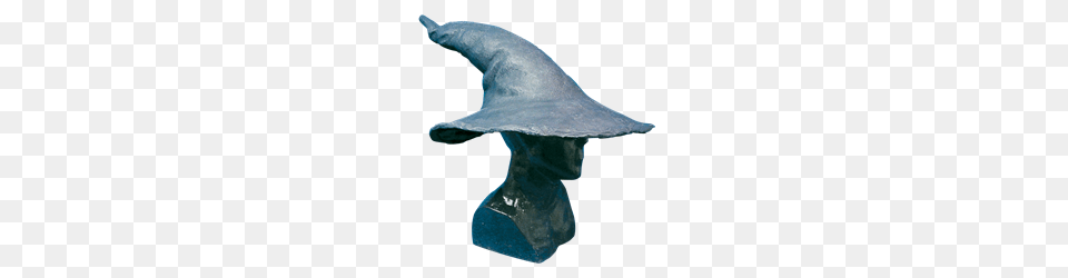 Lotr Gandalf Hat Woodruffalise Wedding Decor, Animal, Fish, Sea Life, Shark Free Transparent Png