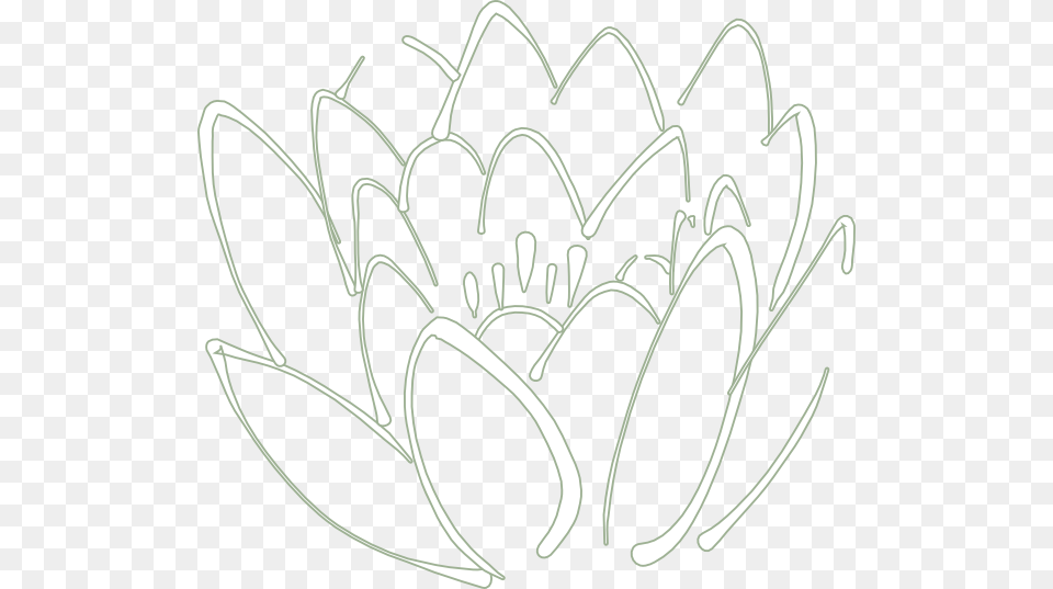 Lotus, Art Png