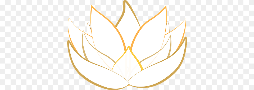 Lotus Lamp, Leaf, Plant, Accessories Free Png