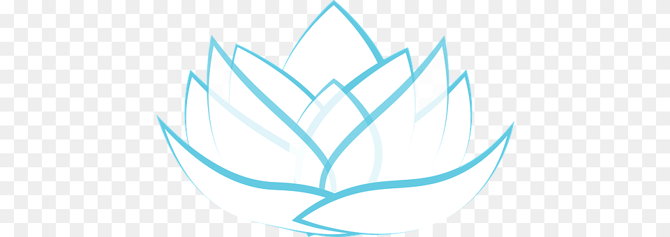 Lotus Leaf, Plant, Flower, Dahlia Free Png