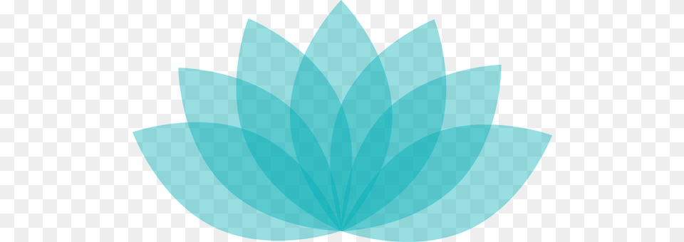 Lotus Leaf, Plant, Turquoise, Animal Png Image