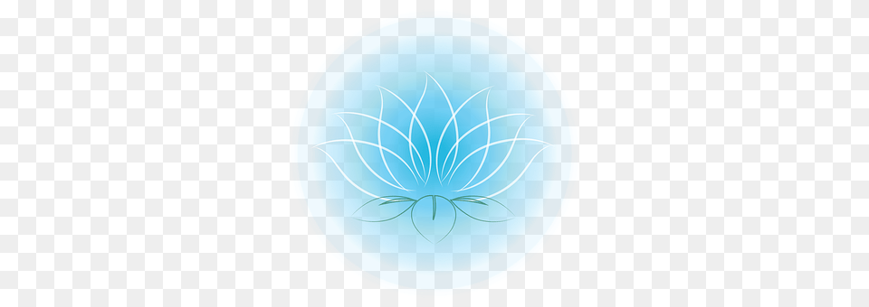 Lotus Pattern, Art, Graphics, Plate Png Image