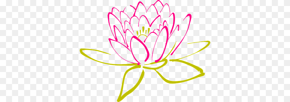 Lotus Light, Purple, Neon, Flower Free Transparent Png