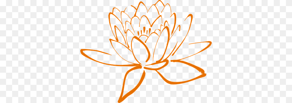 Lotus Plant, Flower, Accessories Png Image