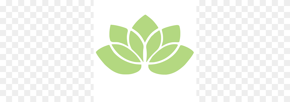 Lotus Herbal, Herbs, Leaf, Plant Png