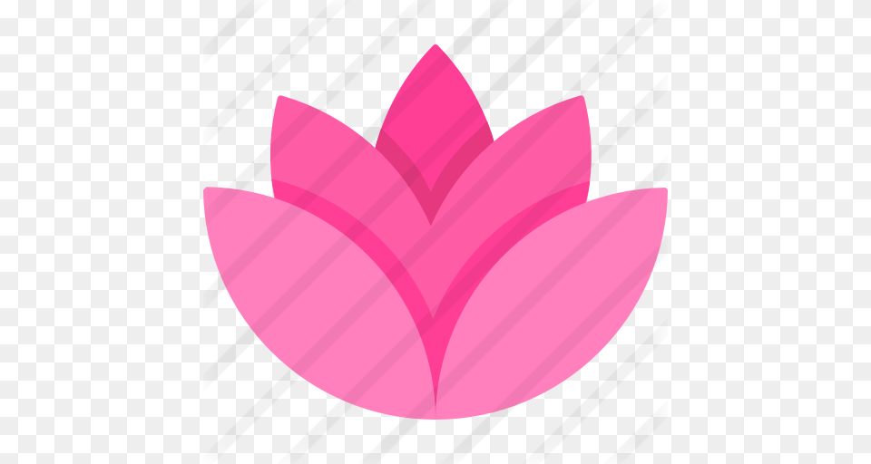 Lotus, Flower, Plant, Petal, Dahlia Free Png Download