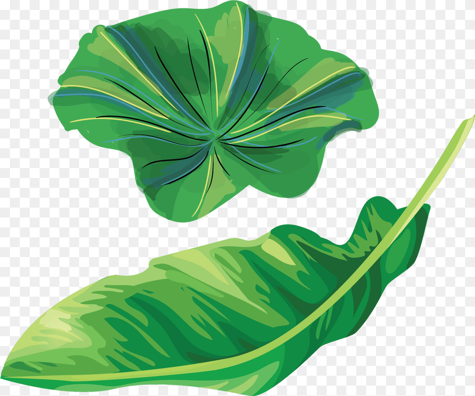 Lotus And Banana Leaves Leaf, Plant, Green, Flower, Food Free Png