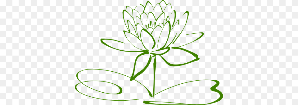 Lotus Blossom Green, Light, Plant, Neon Free Png