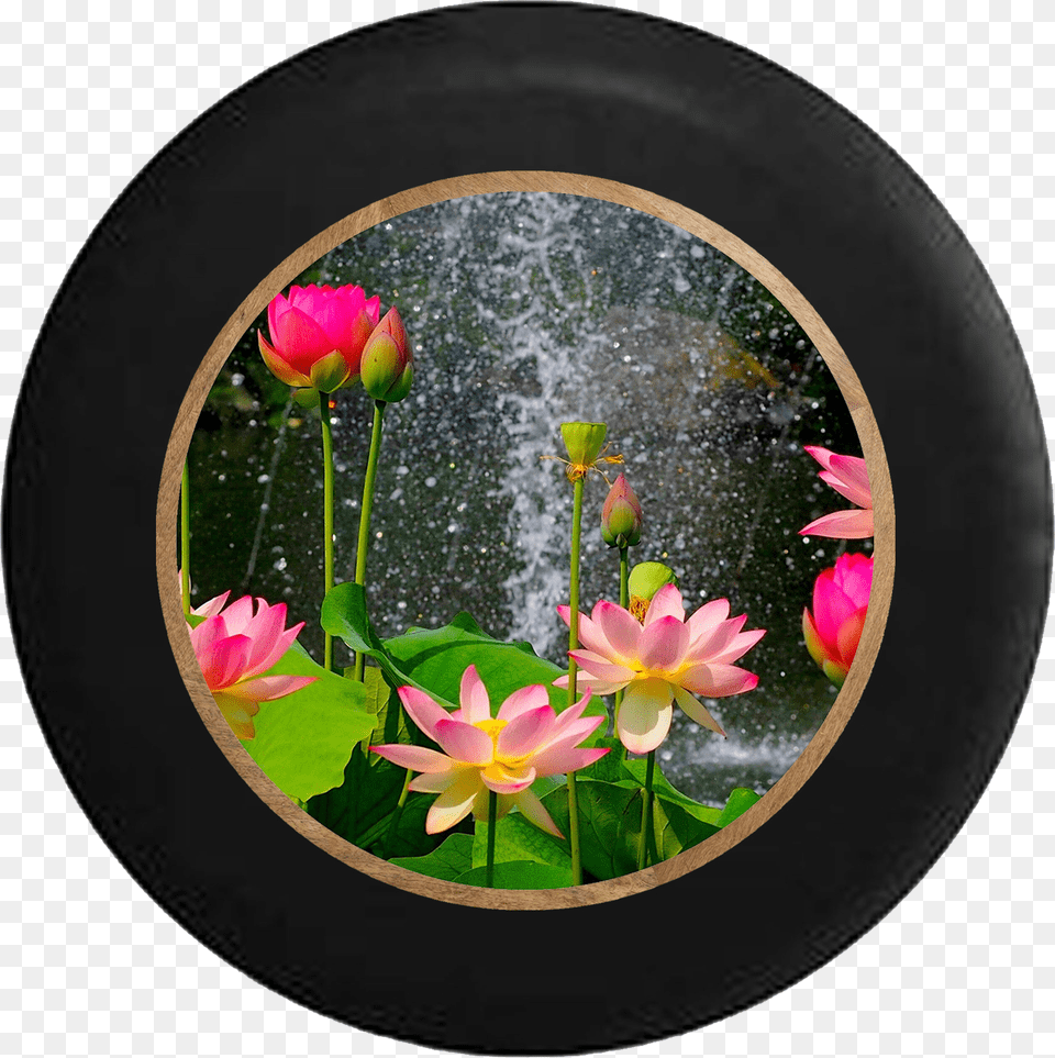 Lotus Blossom Waterfall Rain Flowers Jeep Camper Spare Lotus Beautiful Flower Nature, Photography, Plant, Petal, Leaf Free Png