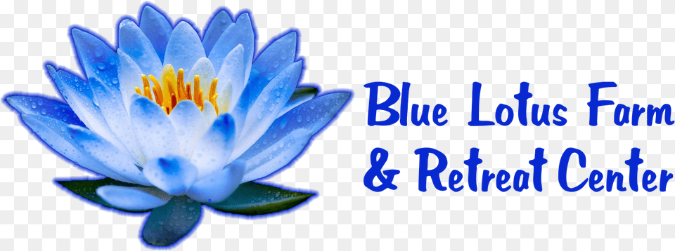 Lotus Blue Flower, Lily, Plant, Anther, Pond Lily Png Image