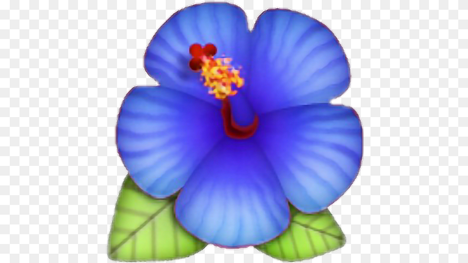 Lotus Blue Rose Morelife Hibiscus Emoji Flower Blue, Anther, Petal, Plant, Anemone Png
