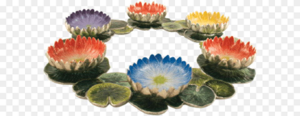 Lotus Centerpiece Seder Plate Passover Seder Plate, Flower, Flower Arrangement, Plant, Food Free Transparent Png