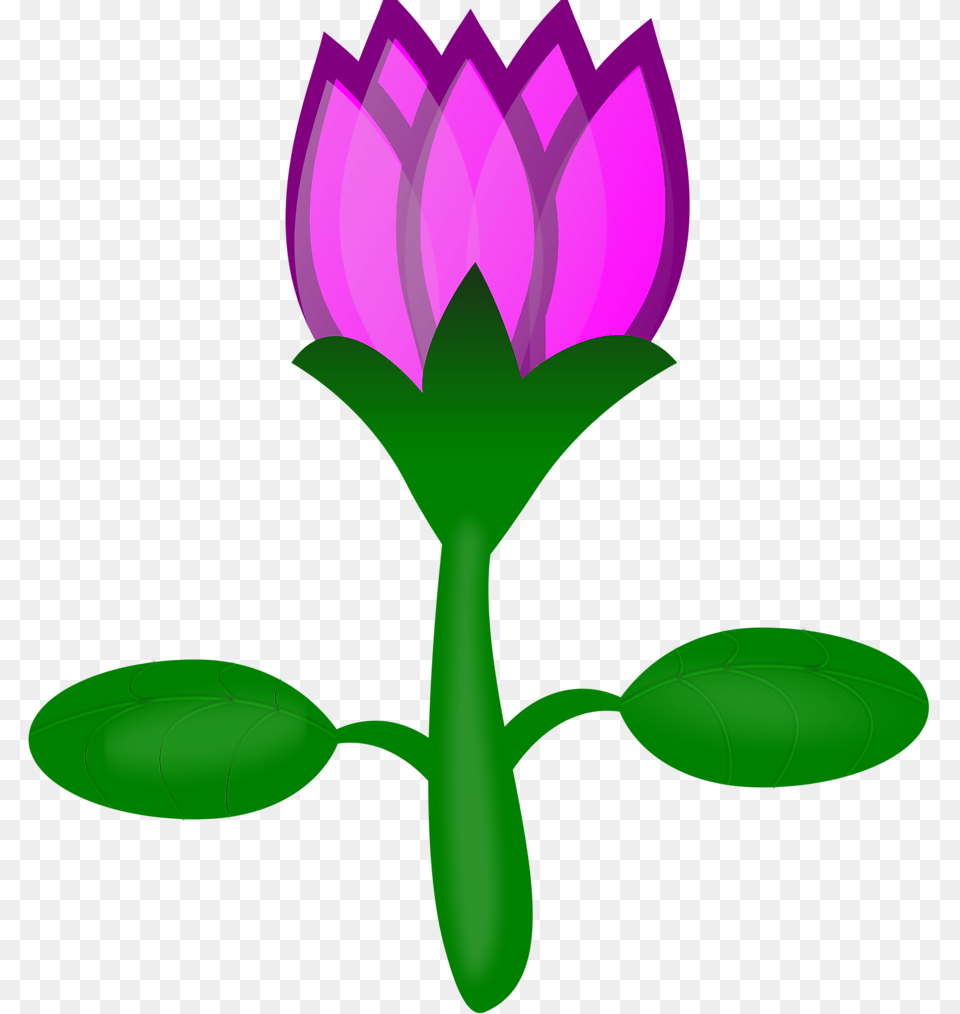 Lotus Clip Art Stock Images, Flower, Petal, Plant, Purple Free Png Download
