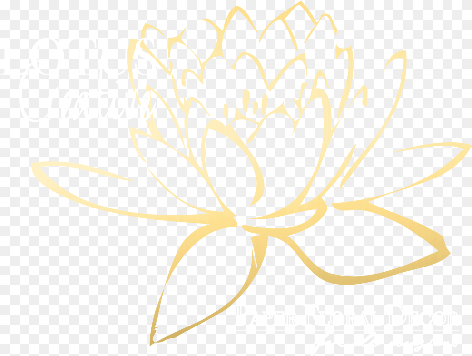 Lotus Creative Consulting Flower, Dahlia, Plant, Art, Graphics Png