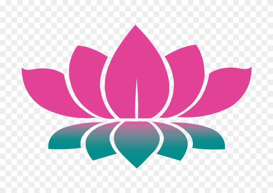 Lotus Flower, Dahlia, Plant, Petal, Animal Png Image