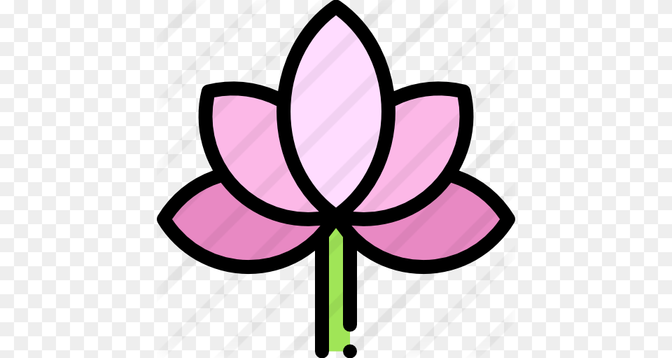 Lotus Flower, Petal, Plant, Purple, Chandelier Free Transparent Png