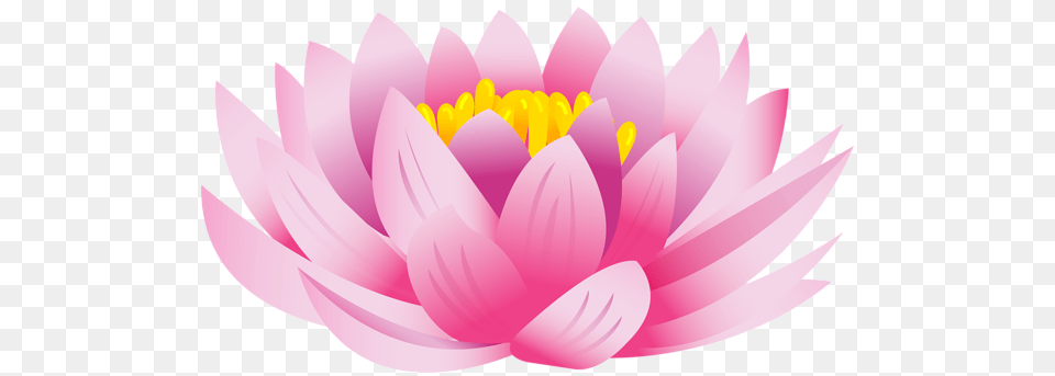 Lotus Flower, Dahlia, Petal, Plant, Daisy Free Transparent Png