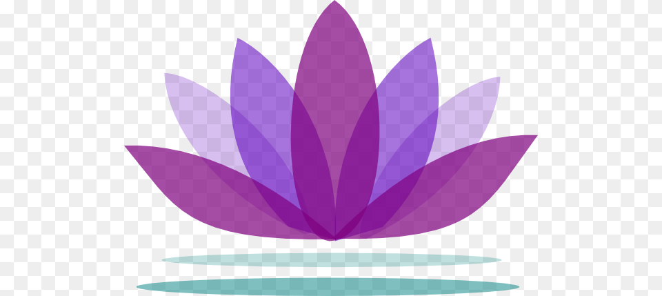 Lotus Flower, Petal, Plant, Lily, Pond Lily Free Transparent Png