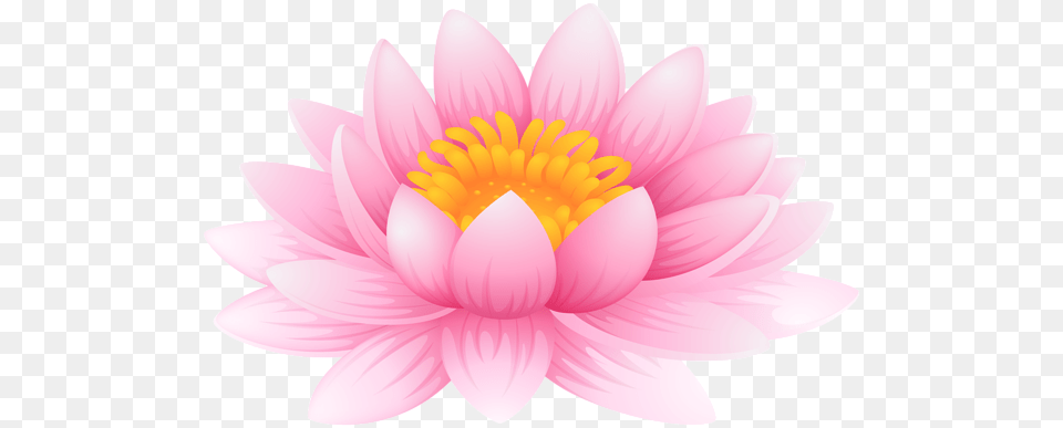 Lotus Flower, Dahlia, Plant, Petal, Daisy Free Png