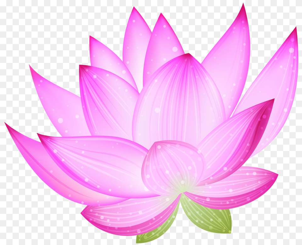 Lotus Flower, Dahlia, Petal, Plant, Chandelier Png