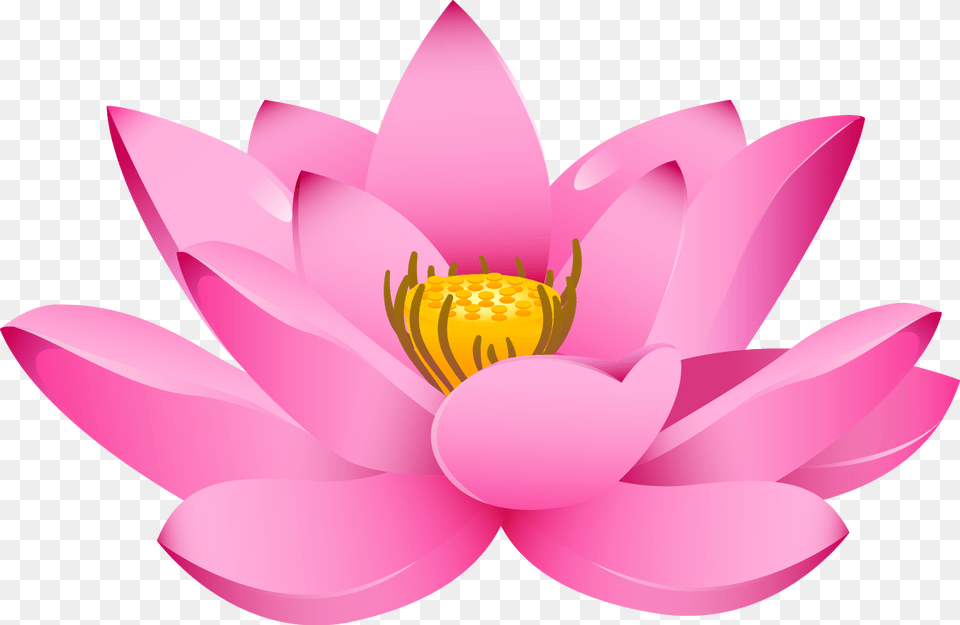 Lotus Flower, Plant, Lily, Dahlia, Pond Lily Free Png Download