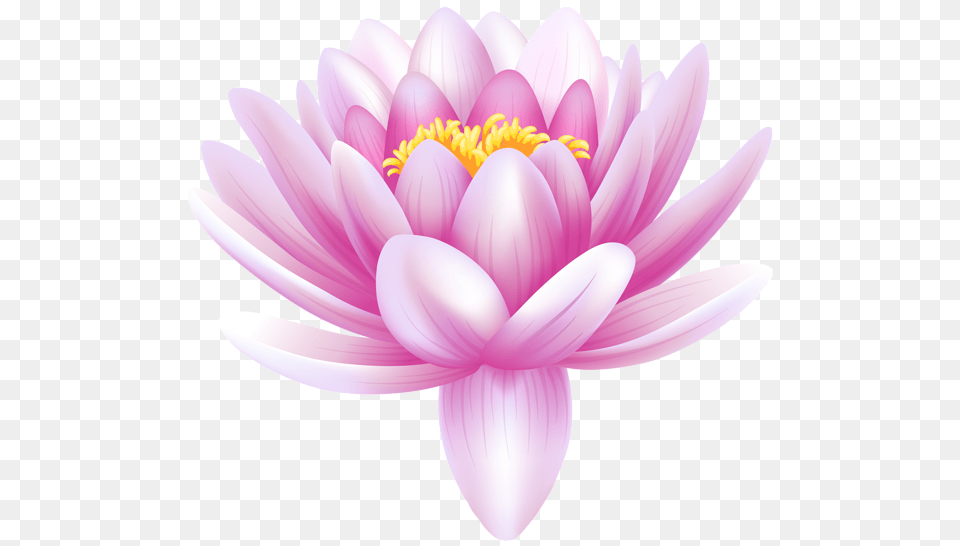 Lotus Flower, Dahlia, Petal, Plant, Daisy Png