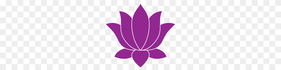 Lotus Flower, Plant, Leaf, Dahlia, Petal Png