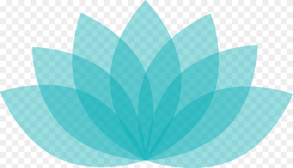 Lotus Flower, Leaf, Plant, Turquoise, Animal Png