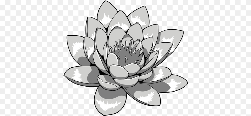Lotus Flower Black And White Japanese Lotus, Dahlia, Plant, Chandelier, Lamp Png Image
