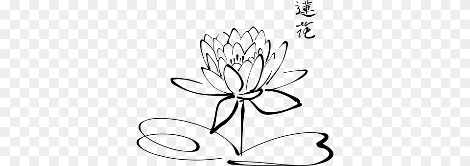 Lotus Flower Calligraphy Chinese Fleur Blo Diagram Of Lotus Flower, Gray Free Png Download